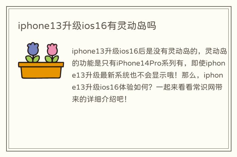 iphone13升级ios16有灵动岛吗
