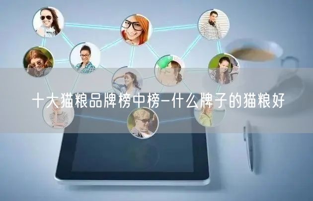 十大猫粮品牌榜中榜-什么牌子的猫粮好