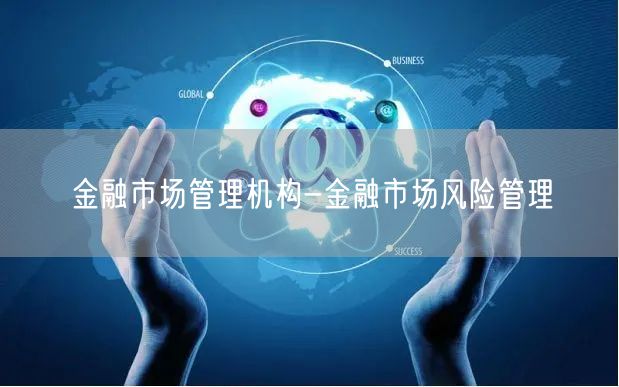 金融市场管理机构-金融市场风险管理