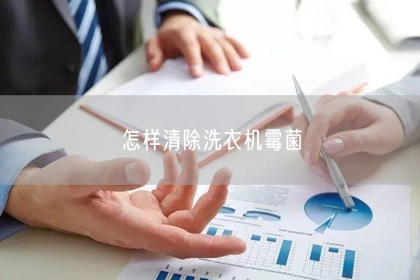 怎样清除洗衣机霉菌