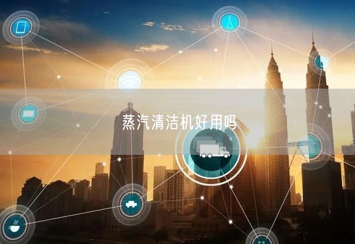 蒸汽清洁机好用吗