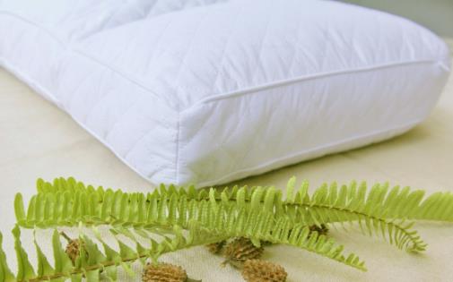 枕头不对睡眠成颈椎病帮凶 选购合适的枕头学问多